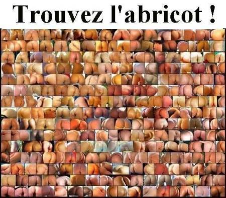 abricot!!!!!!